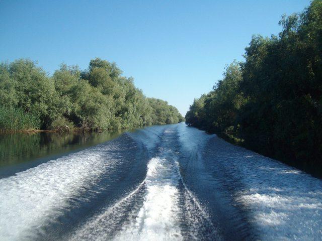 Delta forever - sany0810.JPG